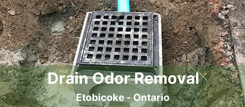  Drain Odor Removal Etobicoke - Ontario